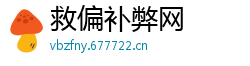 救偏补弊网